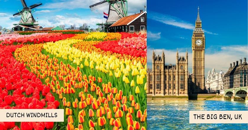2 images - tulip field with two windmills in netherlands and tower clock of london