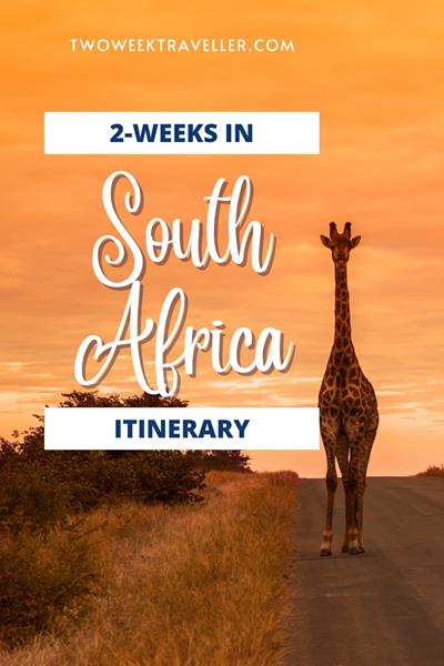 A 2-week South Africa itinerary includes exploring Cape Town's Table Mountain, going on safari in Kruger National Park, and visiting Johannesburg's cultural sites. Enjoy the Garden Route's scenery, Stellenbosch's vineyards, and the stunning beaches of Durban. via @twoweektraveller